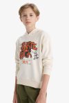 Boys' Hooded Printed Sweatshirt