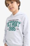 Boys' Hooded Printed Sweatshirt