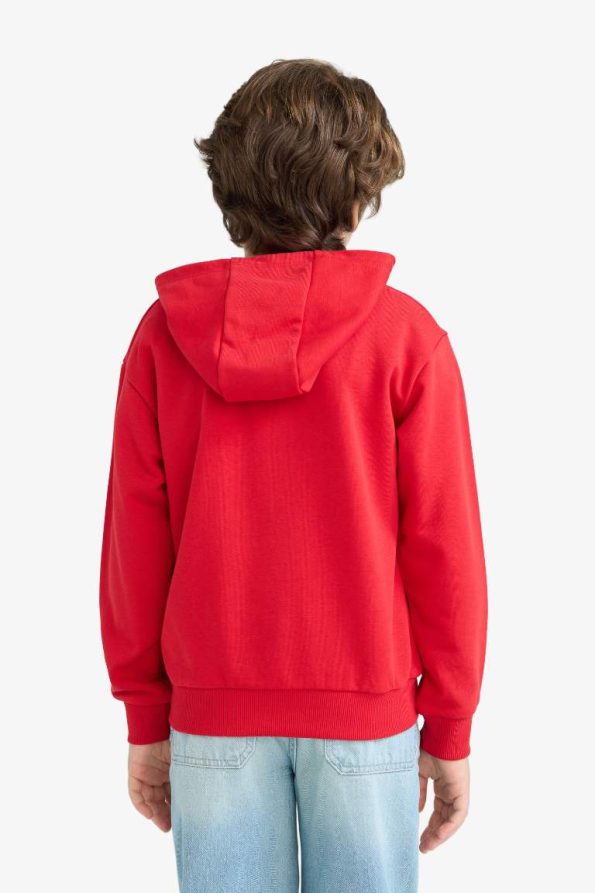 Boys' Printed Hooded Sweatshirt