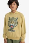 Boys' Hooded Printed Sweatshirt