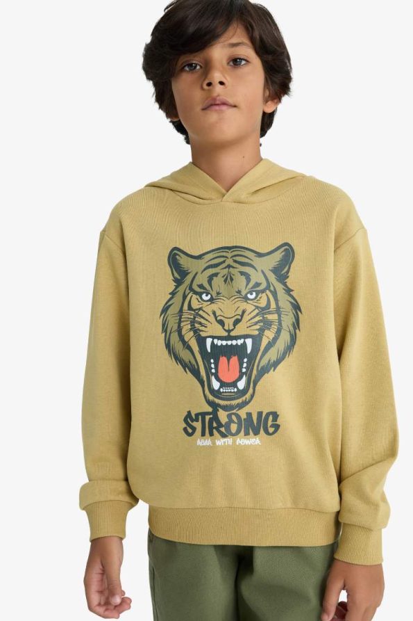 Boys' Hooded Printed Sweatshirt