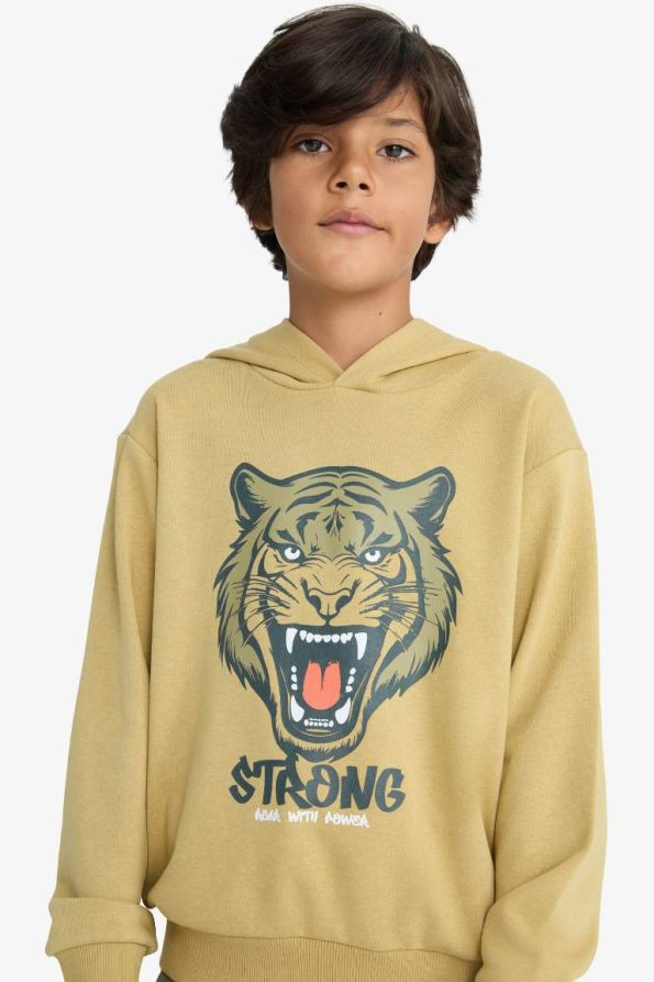 Boys' Hooded Printed Sweatshirt