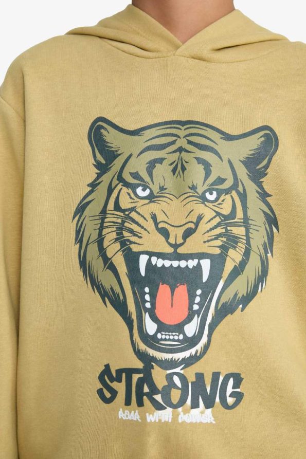 Boys' Hooded Printed Sweatshirt