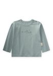 Printed Seasonal T-Shirt for Ages 0-4 in Sage Green