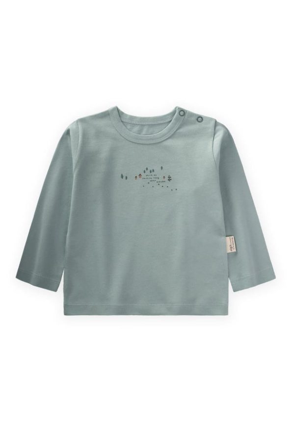 Printed Seasonal T-Shirt for Ages 0-4 in Sage Green
