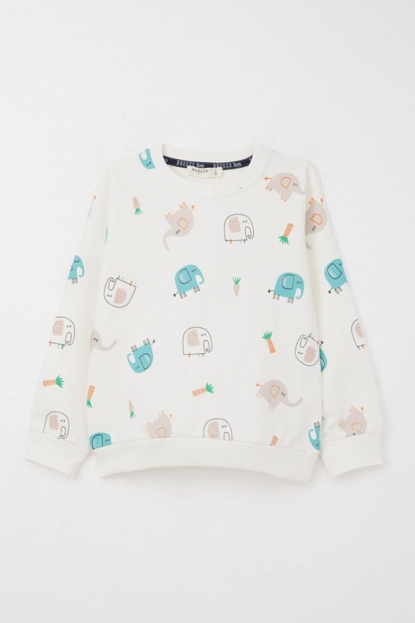 Boys' Sweatshirt Set with Cute Elephant Print in Ecru (1-4 Years)