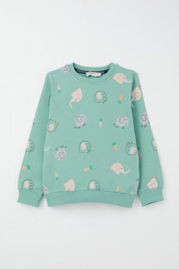 Boys' Sweatshirt Set with Cute Elephant Print in Aqua Green (Ages 1-4)