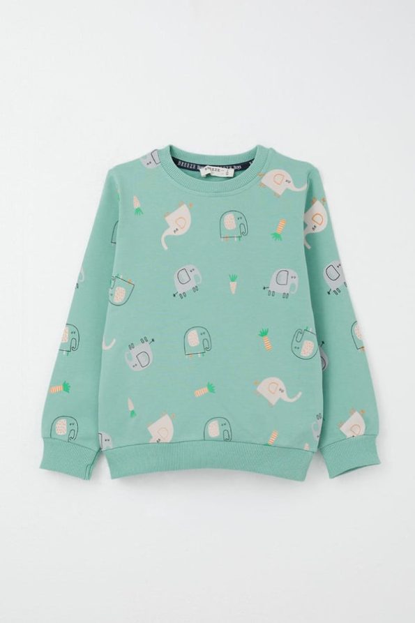 Boys' Sweatshirt Set with Cute Elephant Print in Aqua Green (Ages 1-4)