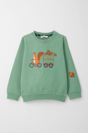Boys' Cute Squirrel & Acorn Printed Mint Tracksuit (1-3 Years)