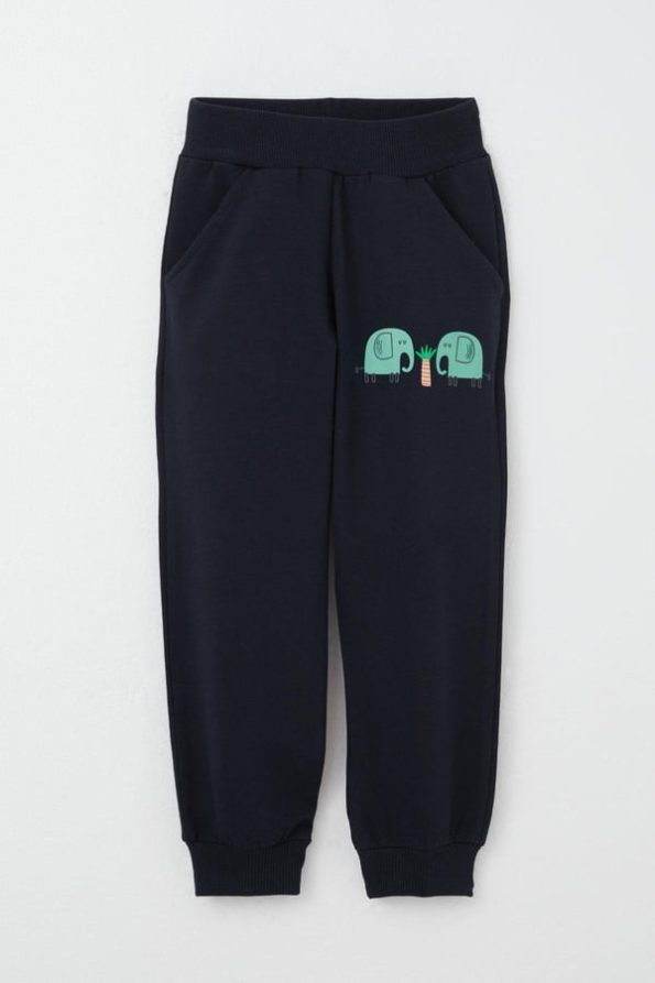 Boys' Sweatshirt Set with Cute Elephant Print in Aqua Green (Ages 1-4)