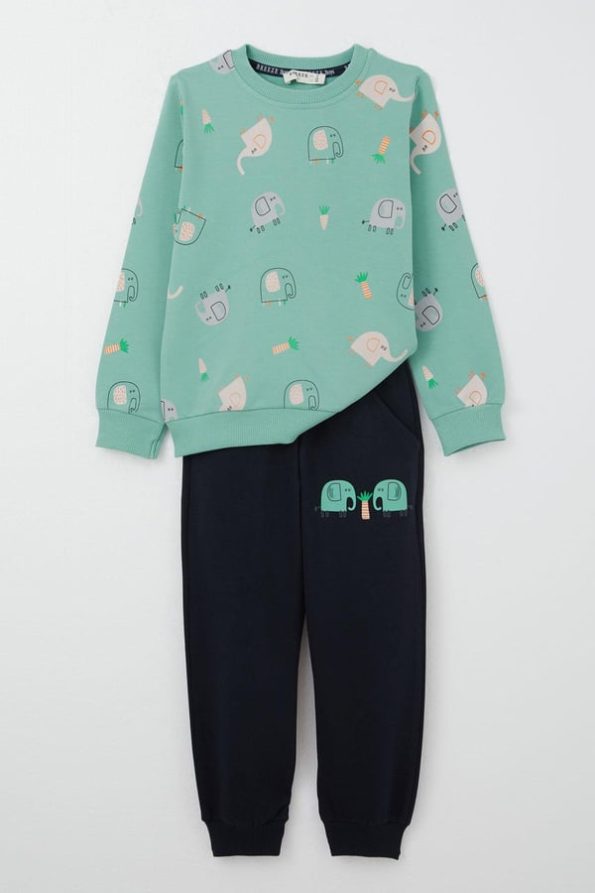 Boys' Sweatshirt Set with Cute Elephant Print in Aqua Green (Ages 1-4)