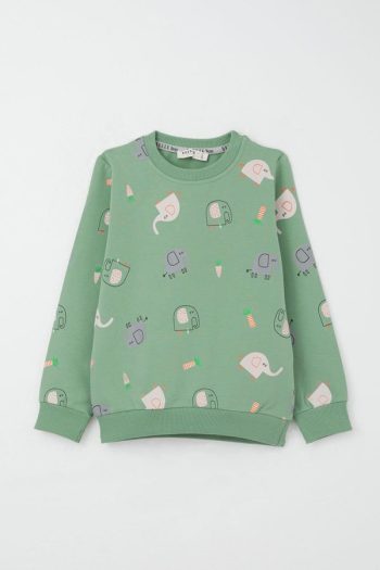Boys' Mint Green Sweatshirt Set with Cute Elephant Print (1-4 Years)