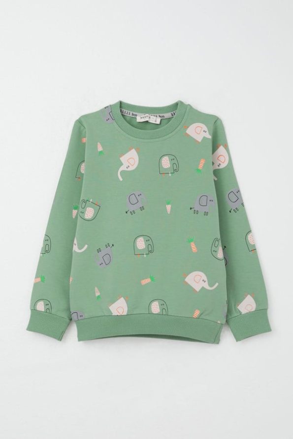 Boys' Mint Green Sweatshirt Set with Cute Elephant Print (1-4 Years)