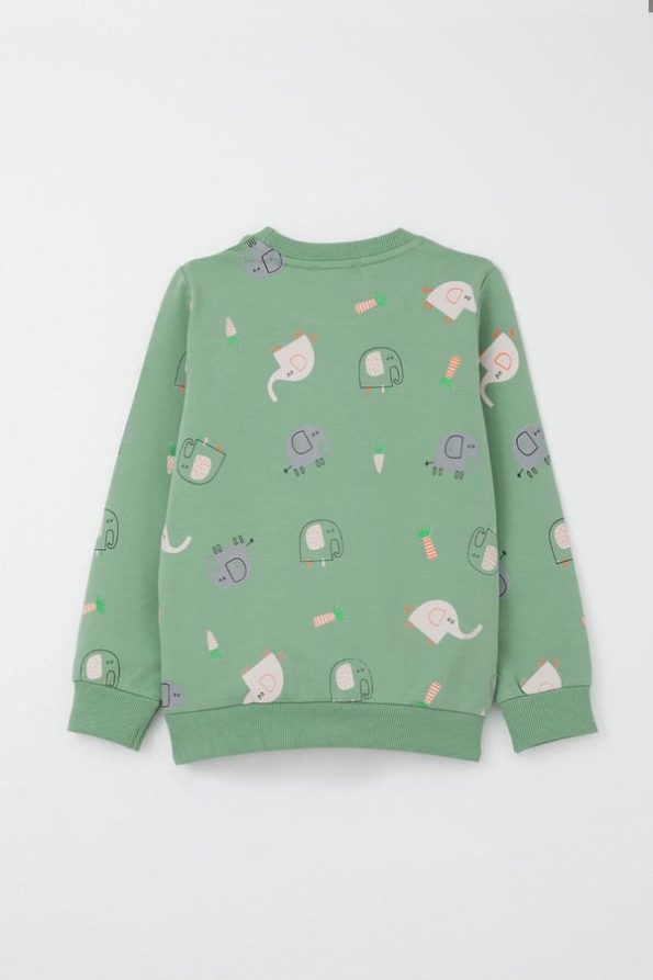 Boys' Mint Green Sweatshirt Set with Cute Elephant Print (1-4 Years)