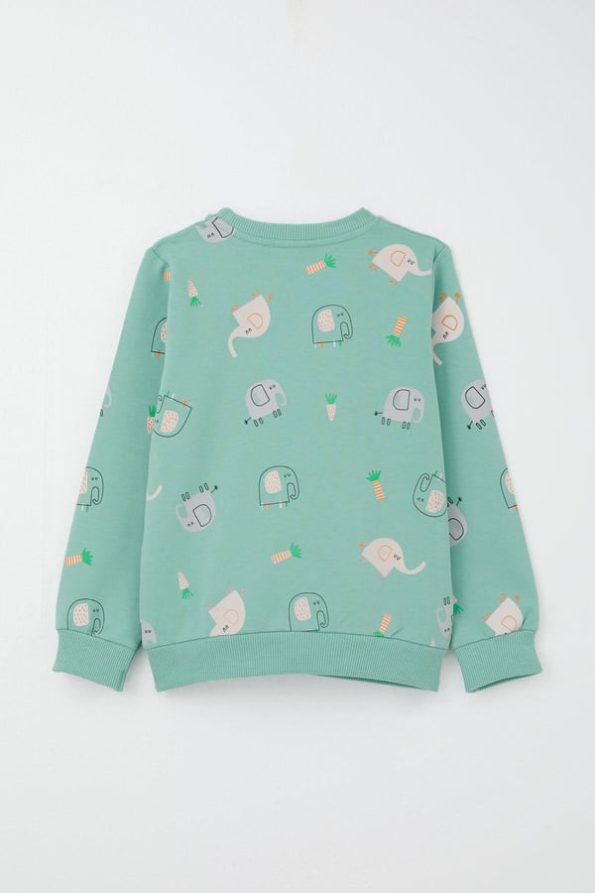 Boys' Sweatshirt Set with Cute Elephant Print in Aqua Green (Ages 1-4)