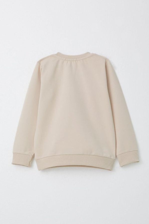 Boys' Printed Sweatshirt Set in Beige (2-4 Years)