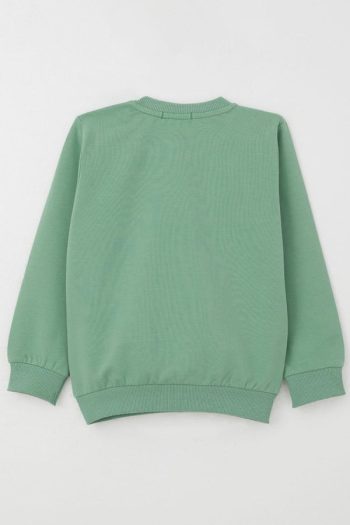 Boys' Sweatshirt Lightning of the Farm Mint Green (1.5-4 Years)