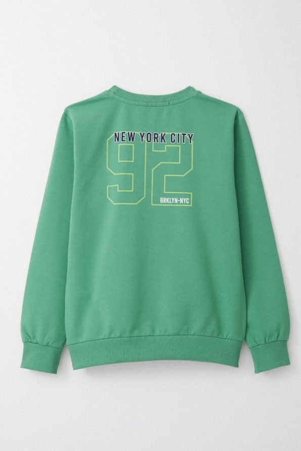 Boys' Mint Green Printed Sweatshirt (Ages 4-8)