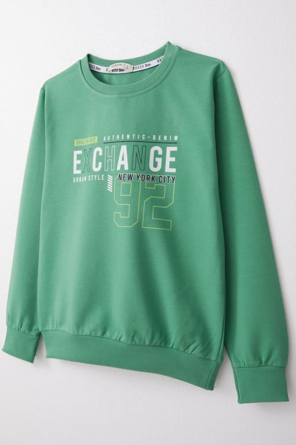 Boys' Mint Green Printed Sweatshirt (Ages 4-8)