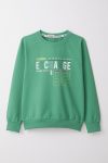 Boys' Mint Green Printed Sweatshirt (Ages 4-8)