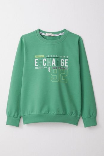 Boys' Mint Green Printed Sweatshirt (Ages 4-8)
