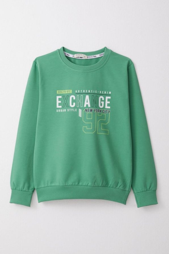 Boys' Mint Green Printed Sweatshirt (Ages 4-8)