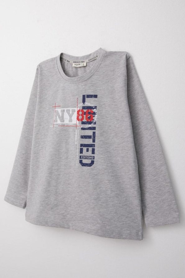 Boys' Long Sleeve Graphic T-Shirt in Light Gray Melange (6-12 Years)
