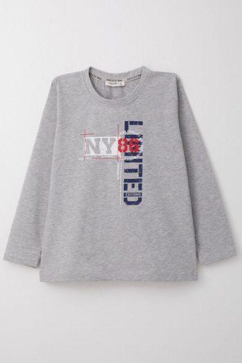 Boys' Long Sleeve Graphic T-Shirt in Light Gray Melange (6-12 Years)