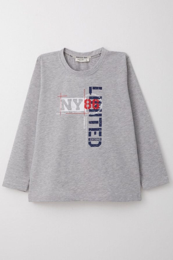 Boys' Long Sleeve Graphic T-Shirt in Light Gray Melange (6-12 Years)
