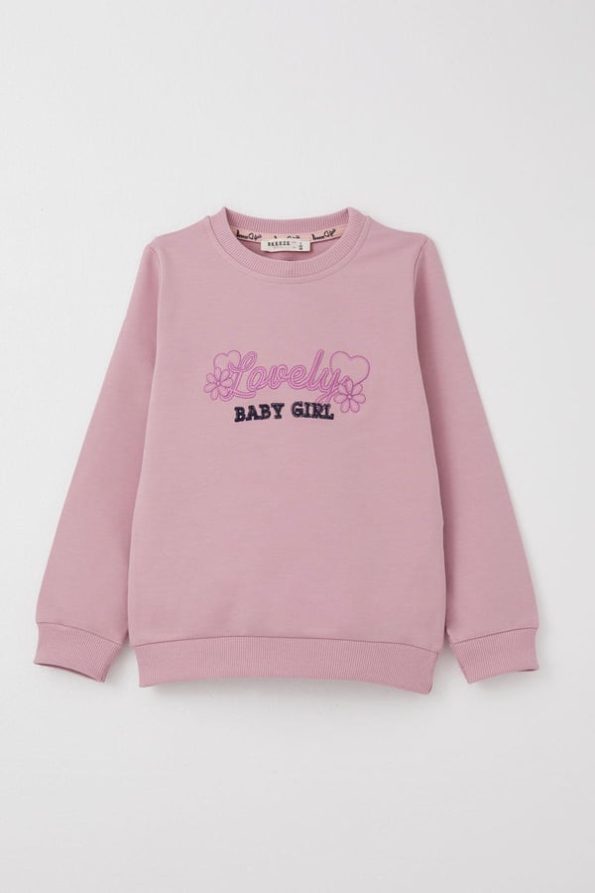 Girls' Love-Themed Sweatshirt Set in Dusty Rose (Ages 1-4)