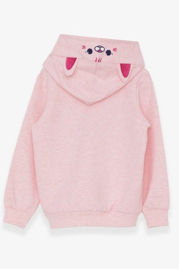 Girls' Embroidered Text Print Sweatshirt in Salmon Melange (2-6 Years)