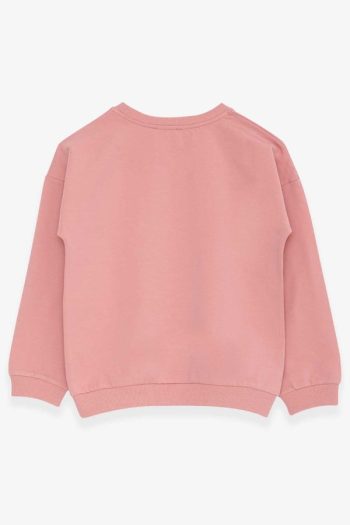 Girls' Sweatshirt with Glitter Print in Rose Dust (4-8 Years)
