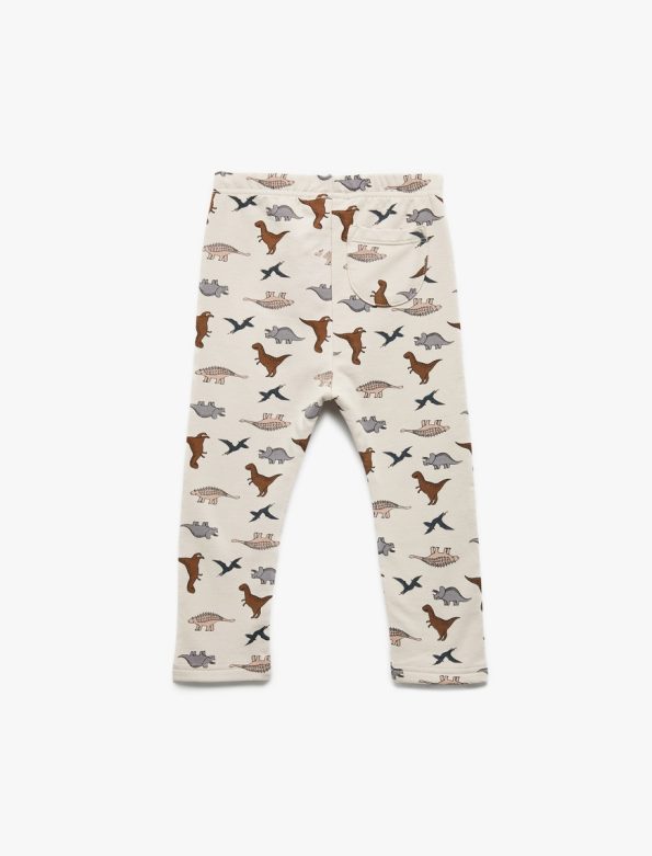 Baby Boy Dinosaur Print Leggings