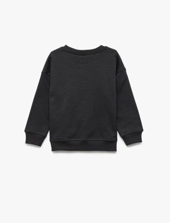 Baby Boy Cotton Printed Sweatshirt