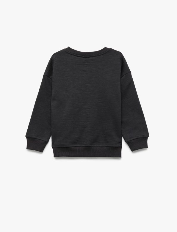 Baby Boy Cotton Printed Sweatshirt