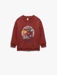 Baby Boy Printed Sweatshirt