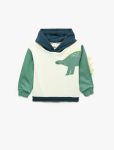 Baby Boy Dinosaur Hoodie