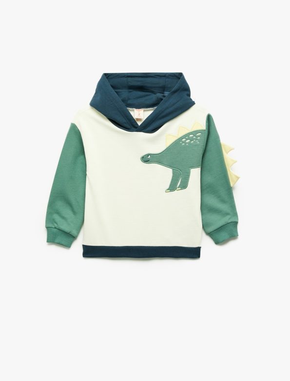Baby Boy Dinosaur Hoodie
