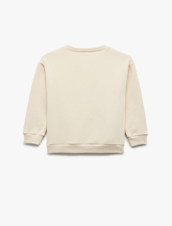Baby Boy Printed Sweatshirt