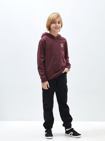 LCW Kids Purple Printed Long Sleeve Boys Hoodie
