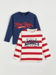 Boys' Crew Neck Dinosaur Printed Sweatshirt and Jogger Set