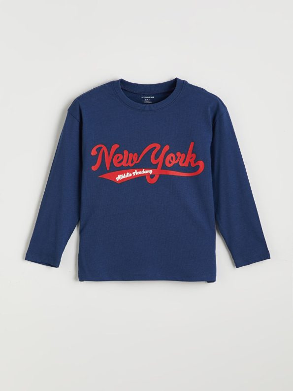 Boys' Crew Neck Dinosaur Printed Sweatshirt and Jogger Set