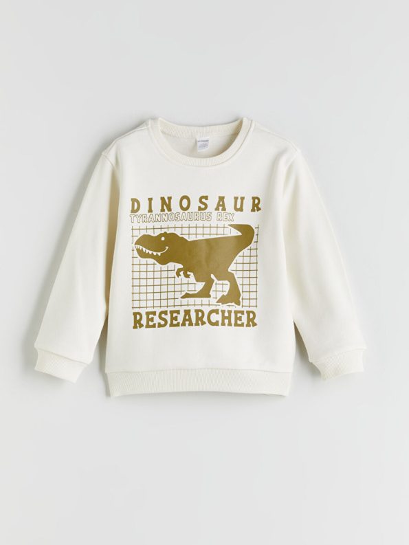 LCW Kids Beige Crew Neck Printed Boys Sweatshirt Set