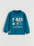 Boys' Printed Crew Neck Sweatshirt