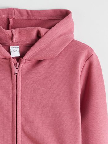 Zip-up sweatshirt with hood