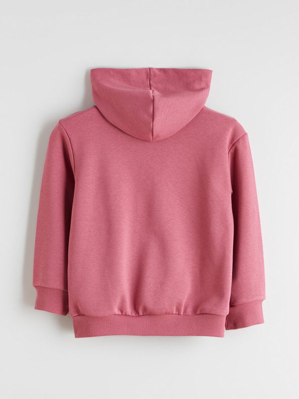Zip-up sweatshirt with hood