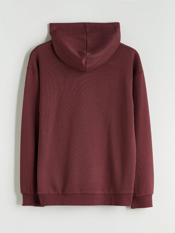 LCW Kids Purple Hooded Boys Sweatshirt