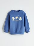 LCW ECOM Crew Neck Printed Boys Sweatshirt