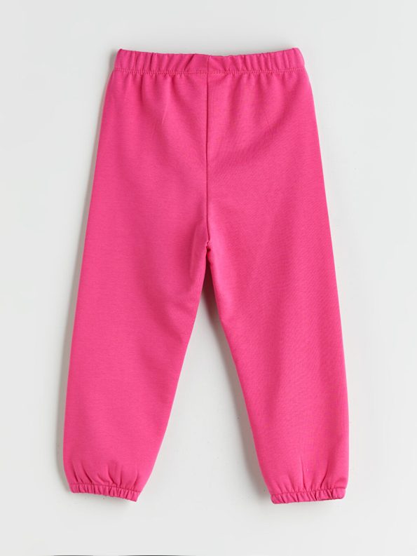 Sweatshirt and Pant Set