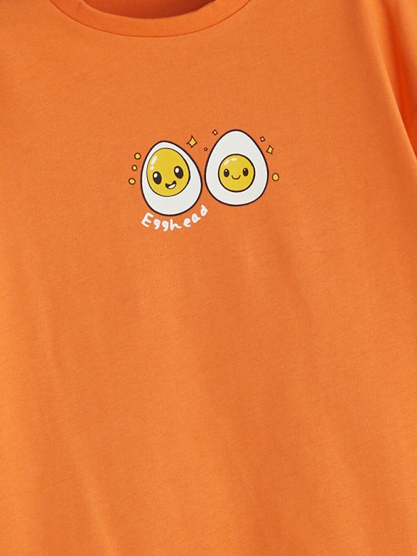 LCW Eco Orange Printed Boys T-Shirt